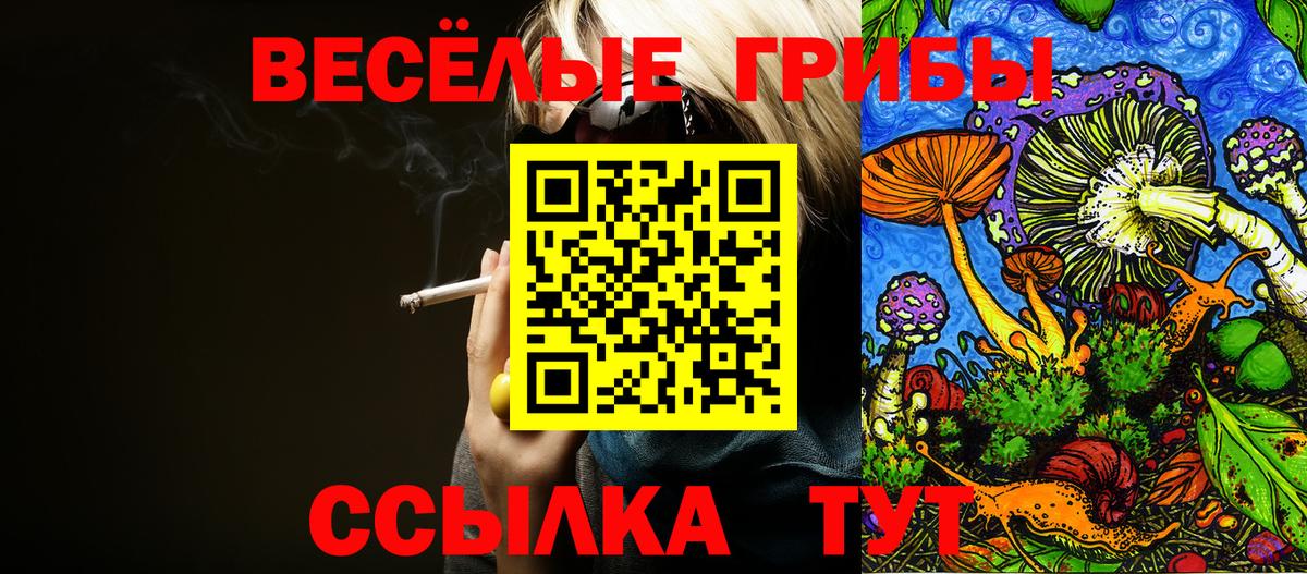 Усолье-Сибирское  Псилоцибиновые грибы Psilocybe  Вход с VPN  Галлюциногенные грибы Cubensis 