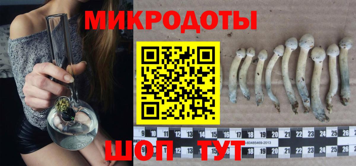 Галлюциногенные грибы Psilocybe Усолье-Сибирское
